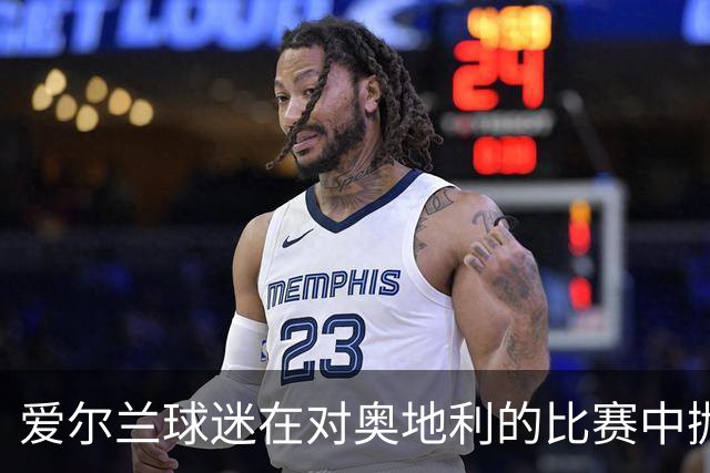 爱尔兰球迷在对奥地利的比赛中抛网球致赛中断
